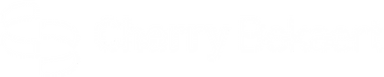 CherryBekaert_Logo -Edited