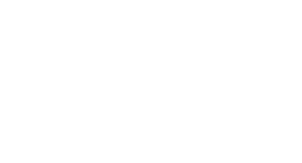 Protiviti Logo