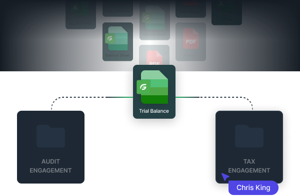 Shared binder Tax & Audit