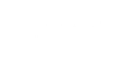 Schneider Downs Logo